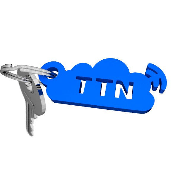 The Things Network keychain